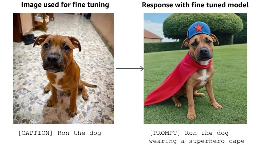 aws ai dog