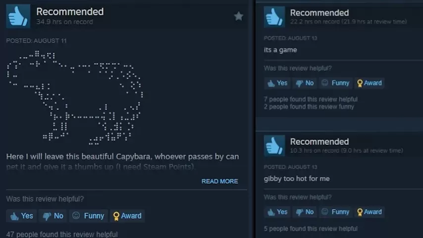 steam reviews example